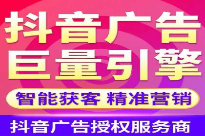 网络推广竞价策略案例分析